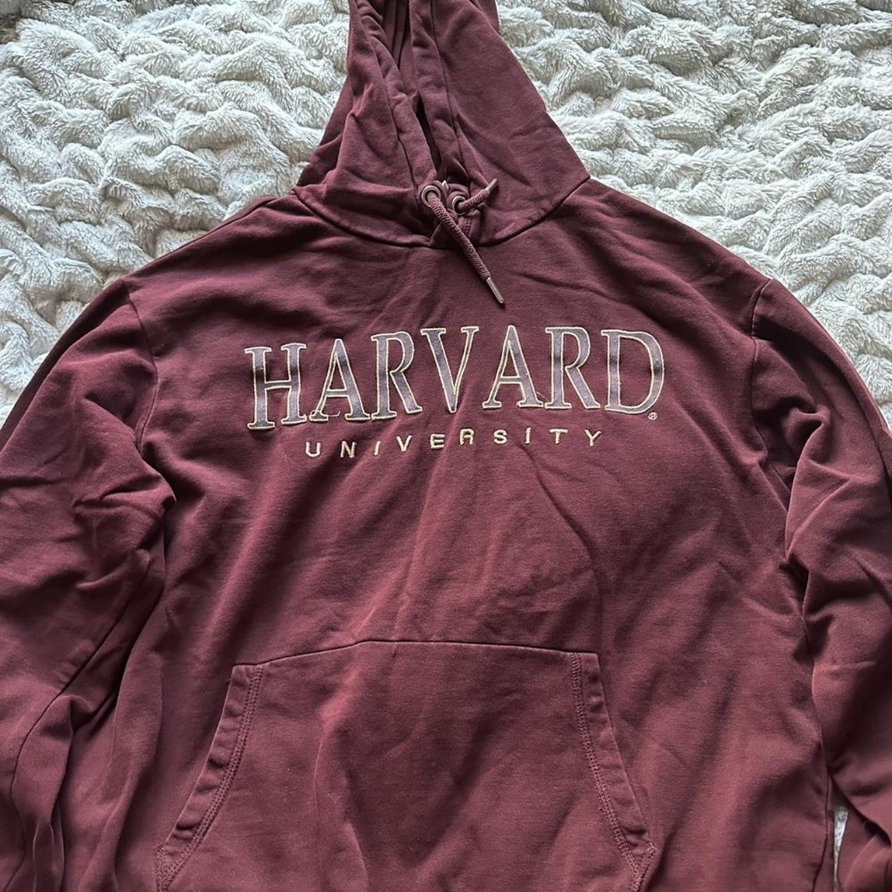 H&M Women's Burgundy Hoodie